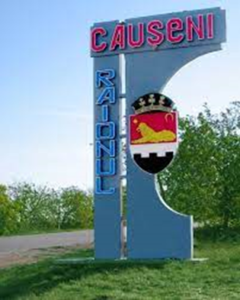 Consiliul Raional Căușeni