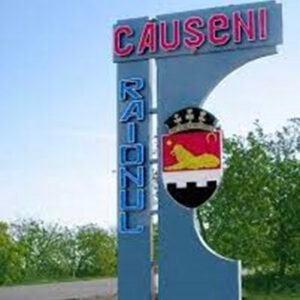 Raionul Căușeni 